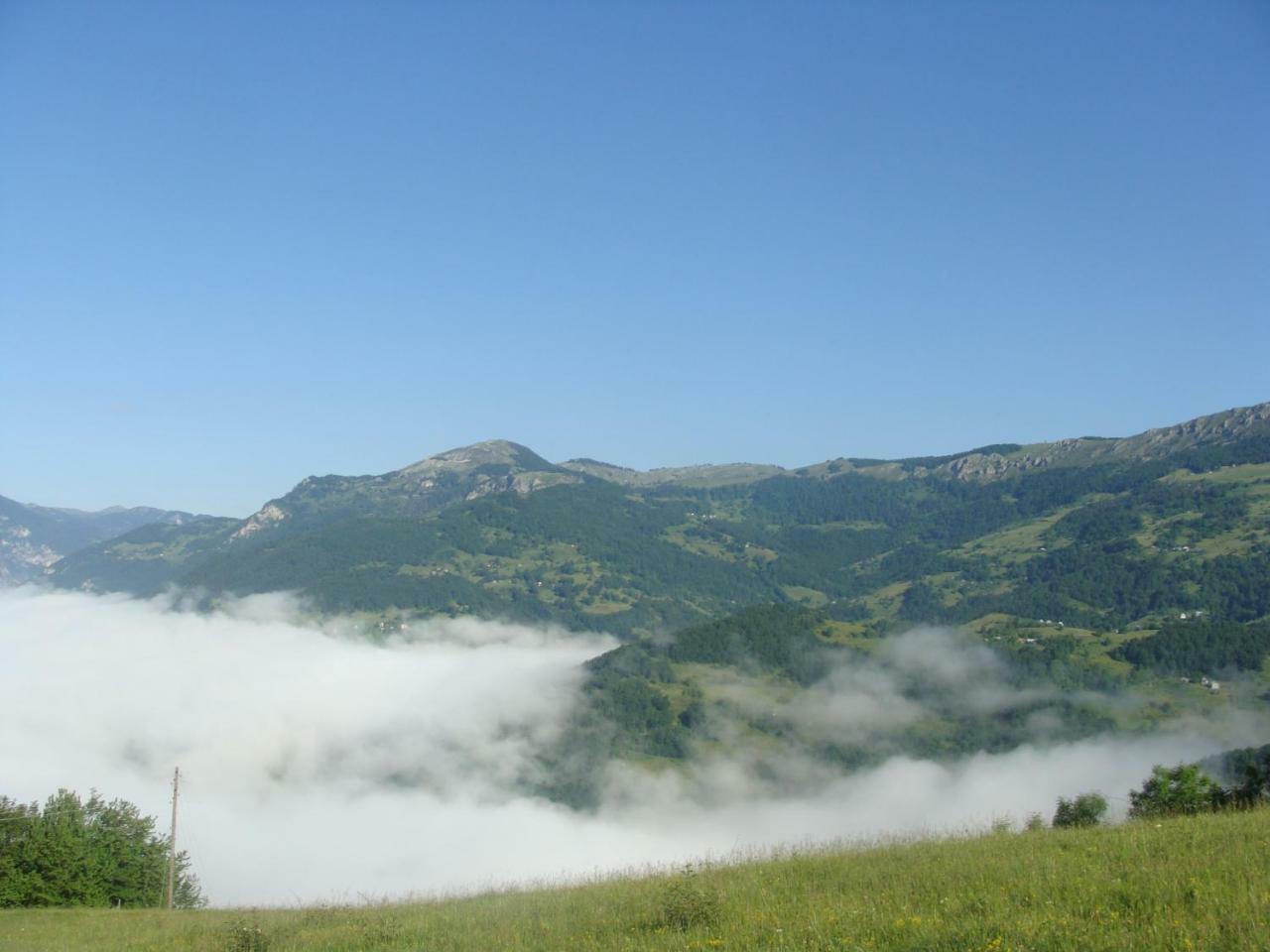 Taramour Cottages. Mojkovac Luaran gambar