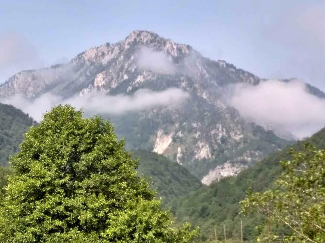 Taramour Cottages. Mojkovac Luaran gambar