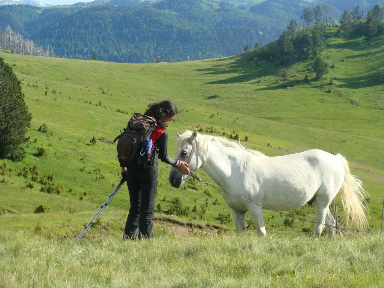 Taramour Cottages. Mojkovac Luaran gambar