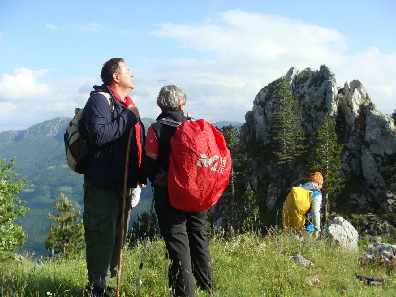 Taramour Cottages. Mojkovac Luaran gambar