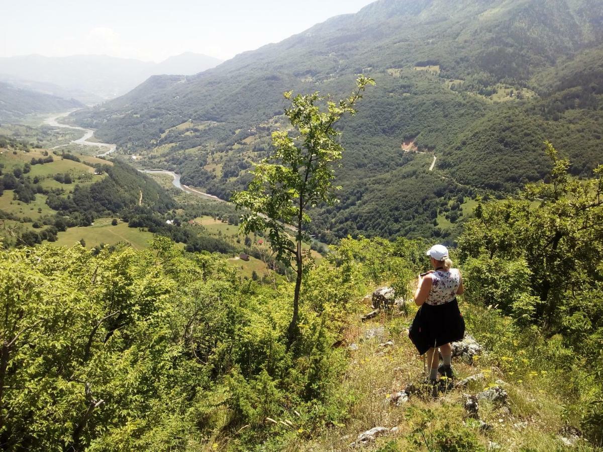 Taramour Cottages. Mojkovac Luaran gambar